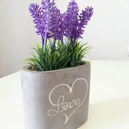 Amfora Апартаменты